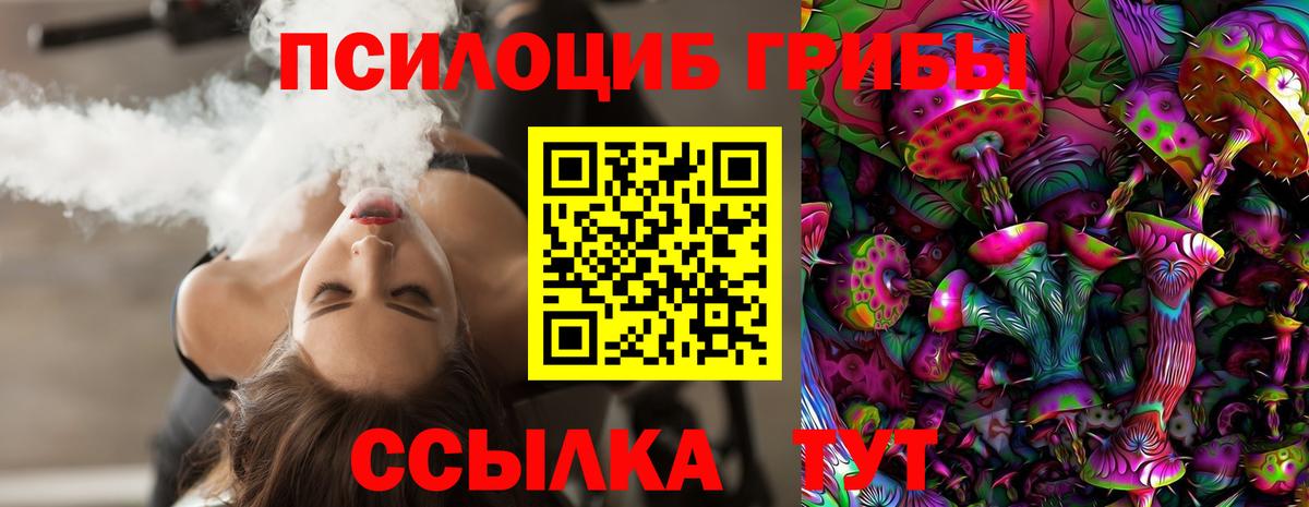 Псилоцибиновые грибы GOLDEN TEACHER  Вход с VPN  Свободный 